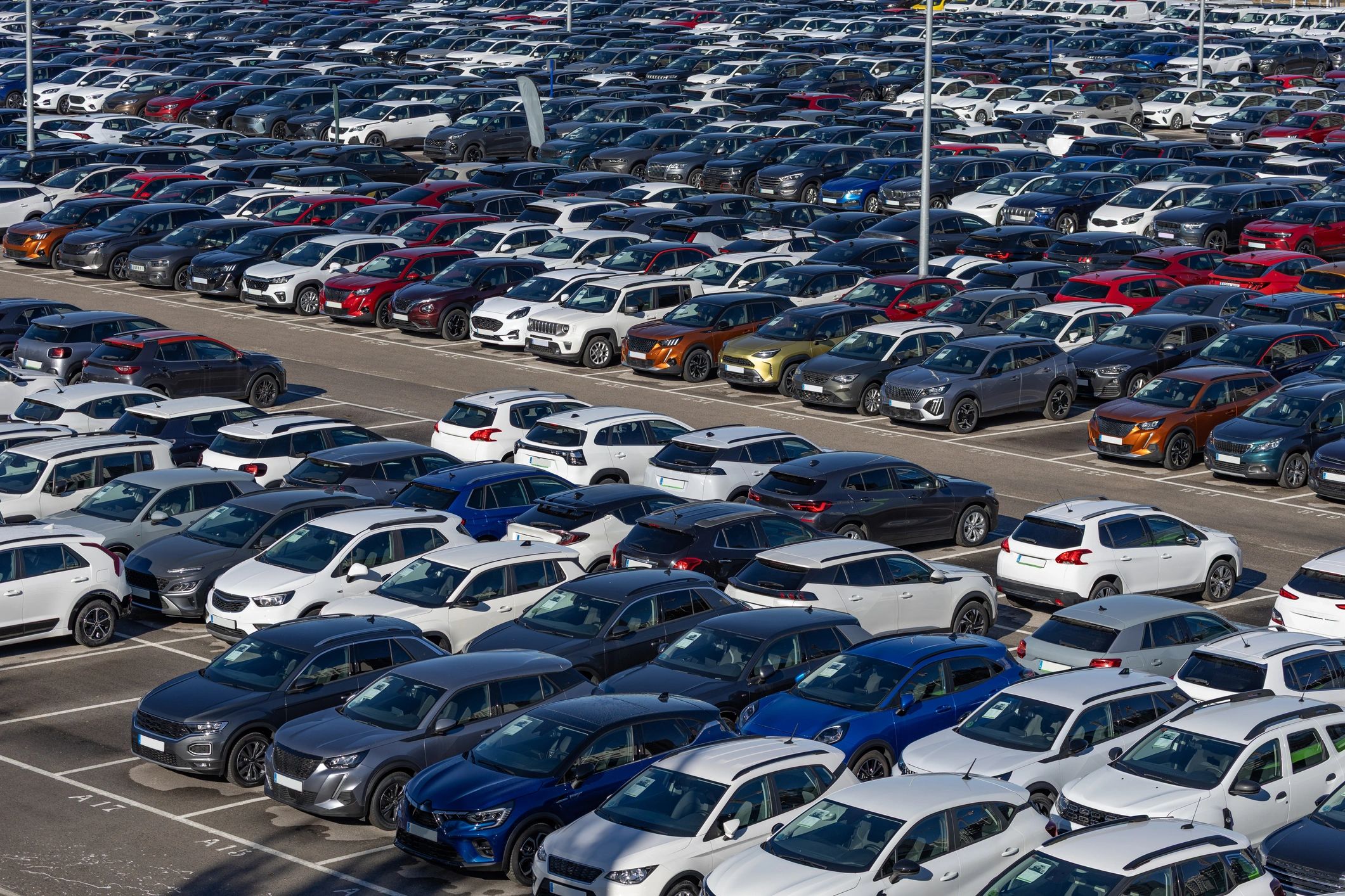 Rows of vehicles in a dealership lot